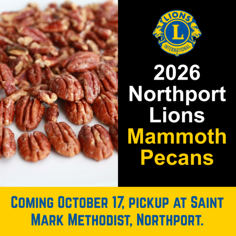 Fresh South Alabama Mammoth Pecans for sale. 